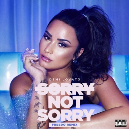 Demi Lovato - Sorry Not Sorry (Freedo Remix) (2017)