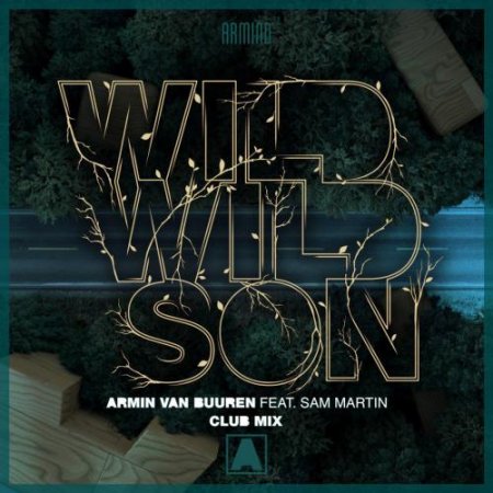 Armin Van Buuren feat. Sam Martin - Wild Wild Son (Club Mix) (2018)