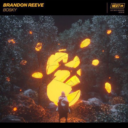 Brandon Reeve - Bosky (Extended Mix) (2019)