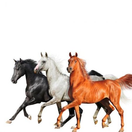 Lil Nas X, Billy Ray Cyrus &amp; Diplo - Old Town Road (Diplo Remix) (2019)